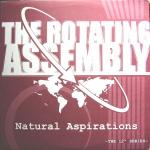 Natural Aspirations -The 12inch Series-